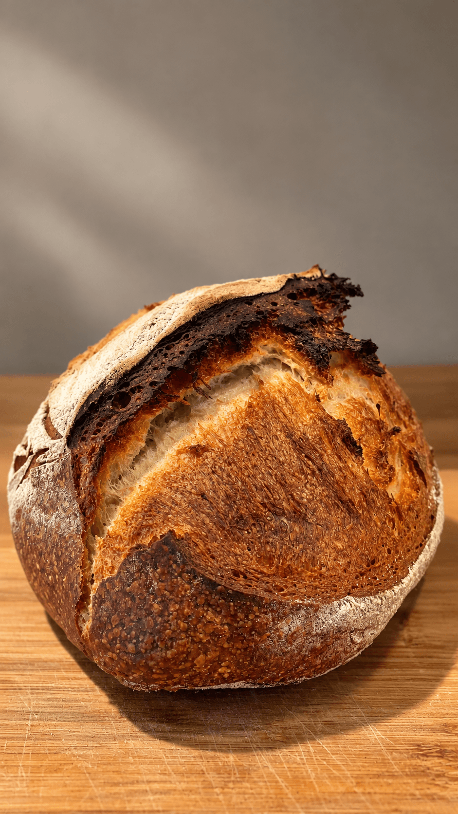 pane-di-altamura